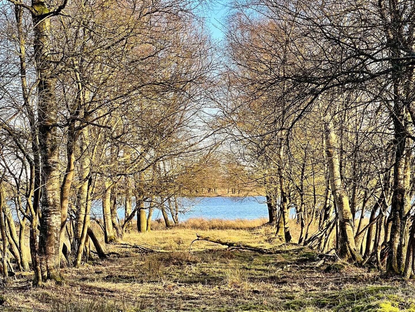 Natuurhuisje Meppen Esterno foto