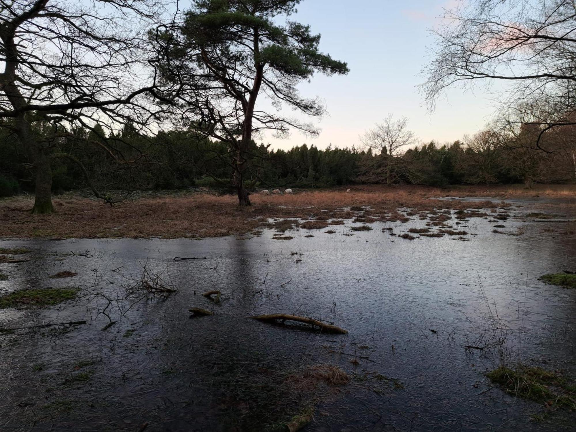 Natuurhuisje Meppen Esterno foto