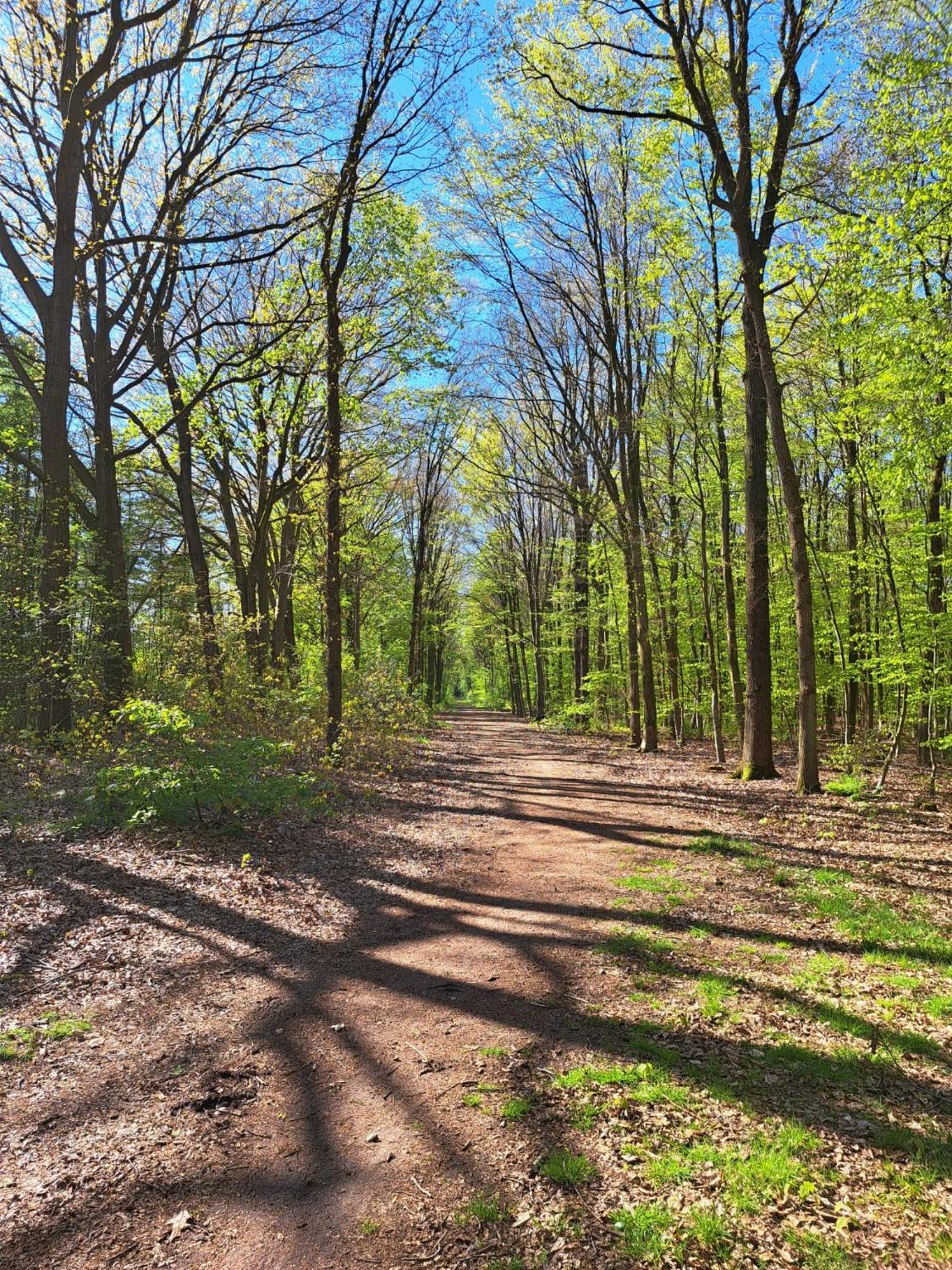 Natuurhuisje Meppen Esterno foto